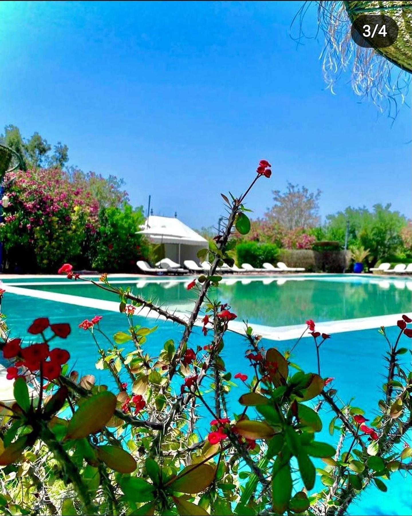 فندق Les Jardins D Isis مراكش المظهر الخارجي الصورة